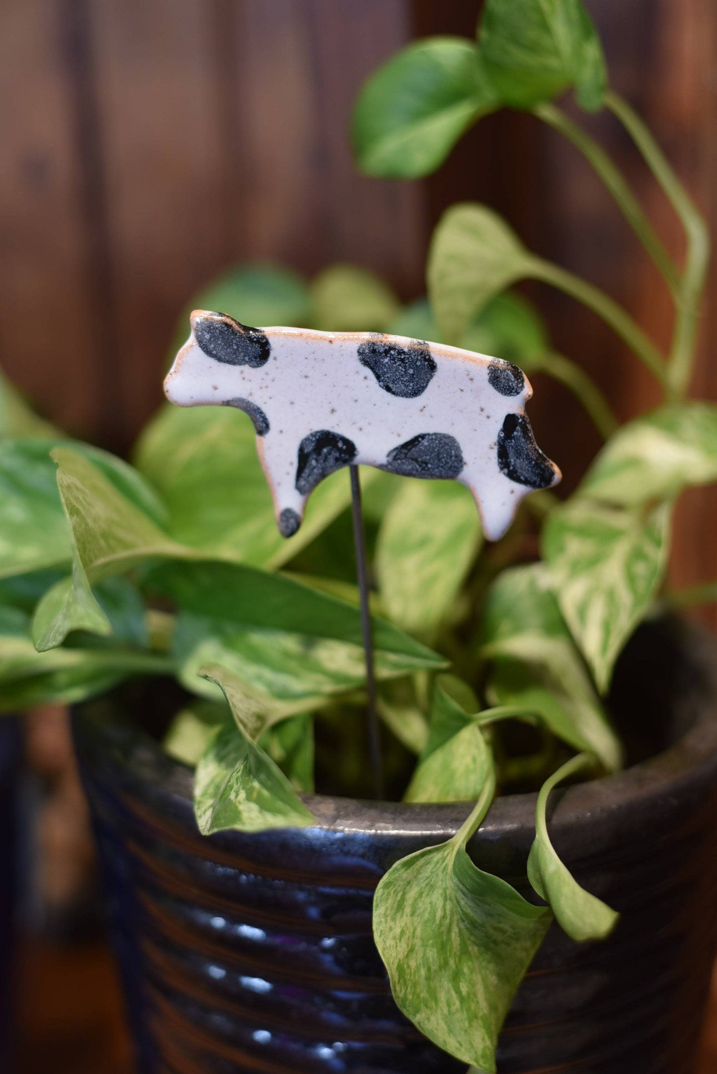 Mud & Maker - Plant Buddies - Garden Cow