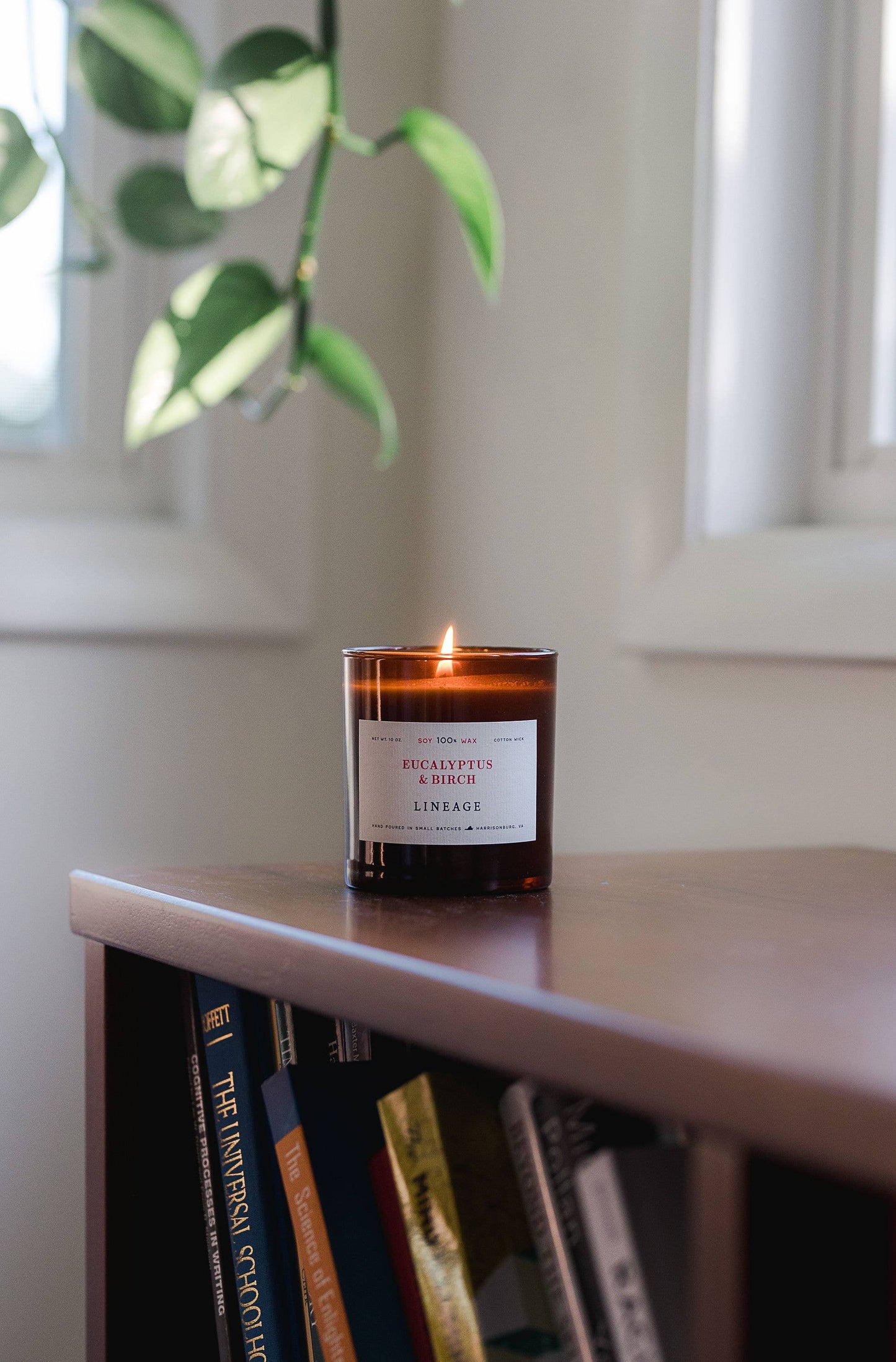 Lineage - Eucalyptus & Birch Candle