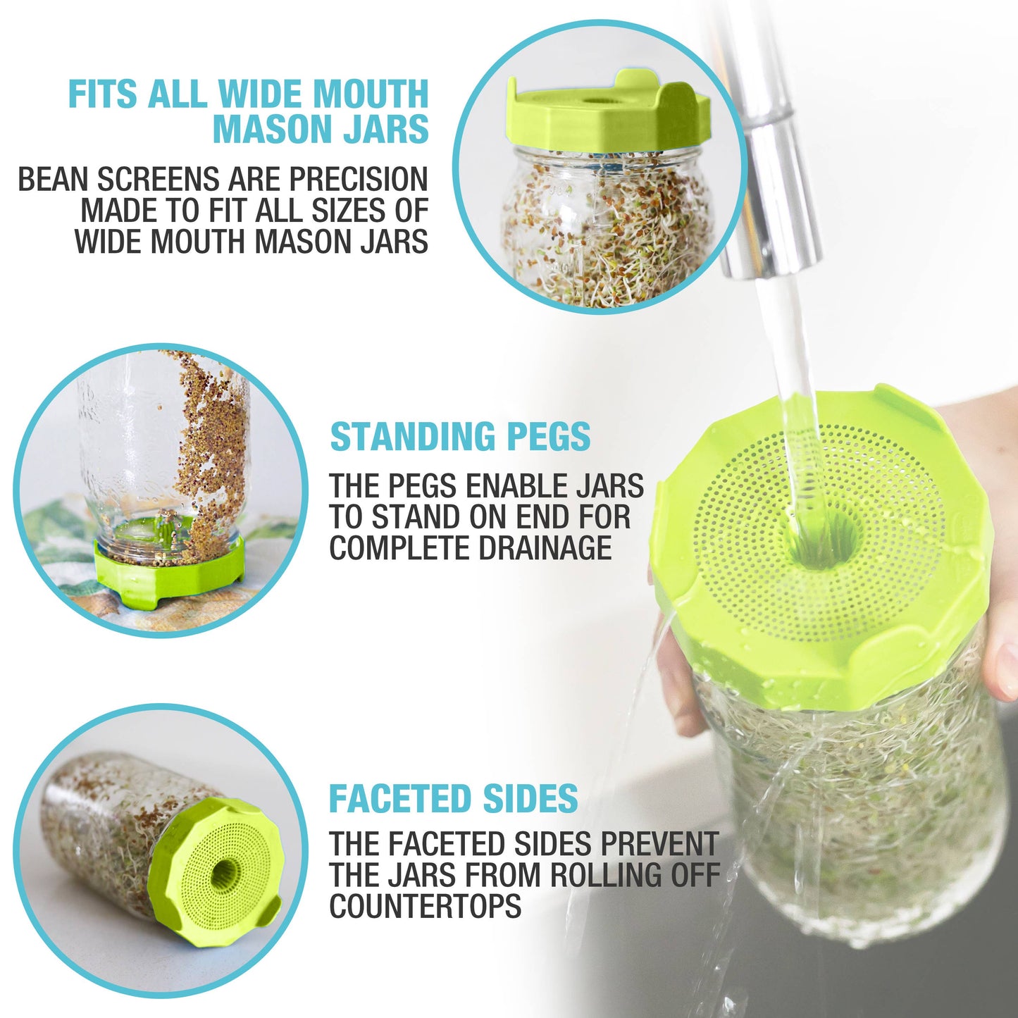 Masontops - Bean Sprouting Set with Jar, Seeds and Lid