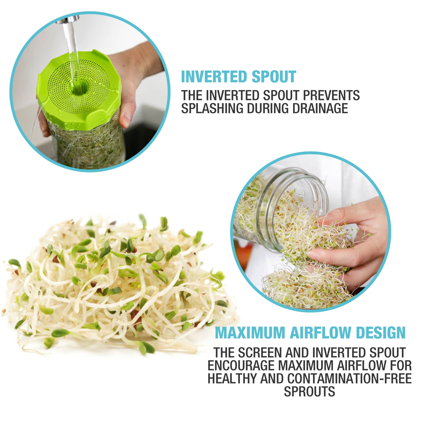 Masontops - Bean Sprouting Set with Jar, Seeds and Lid