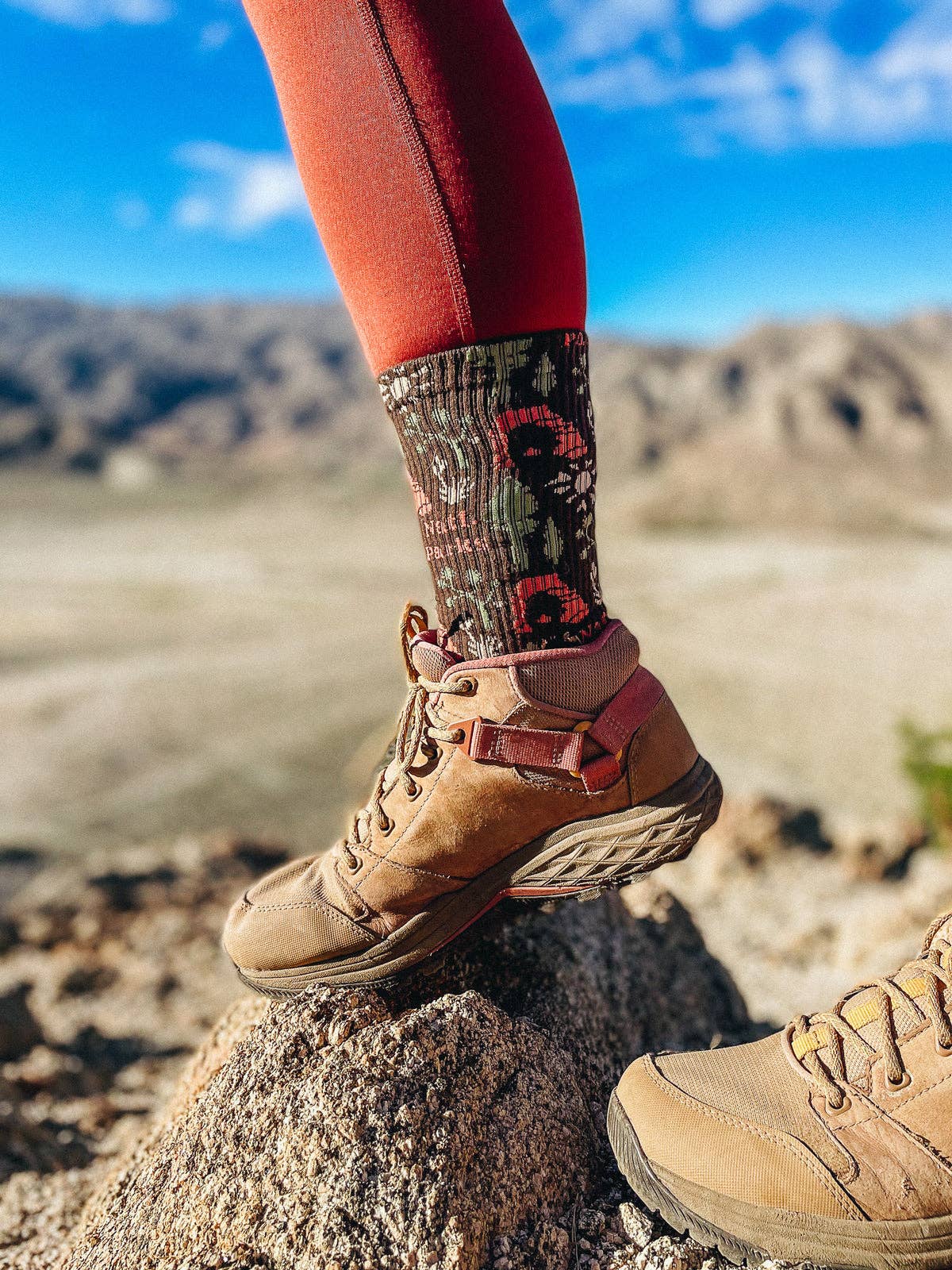 The Landmark Project - National Park Roundup Sock