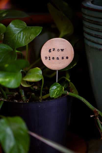 Mud & Maker - Plant Buddies - Text - Garden Grow Please - Easter