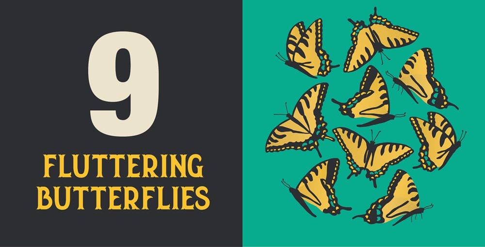 Gibbs Smith - Count On Georgia: Baby’s First Book About the Empire State