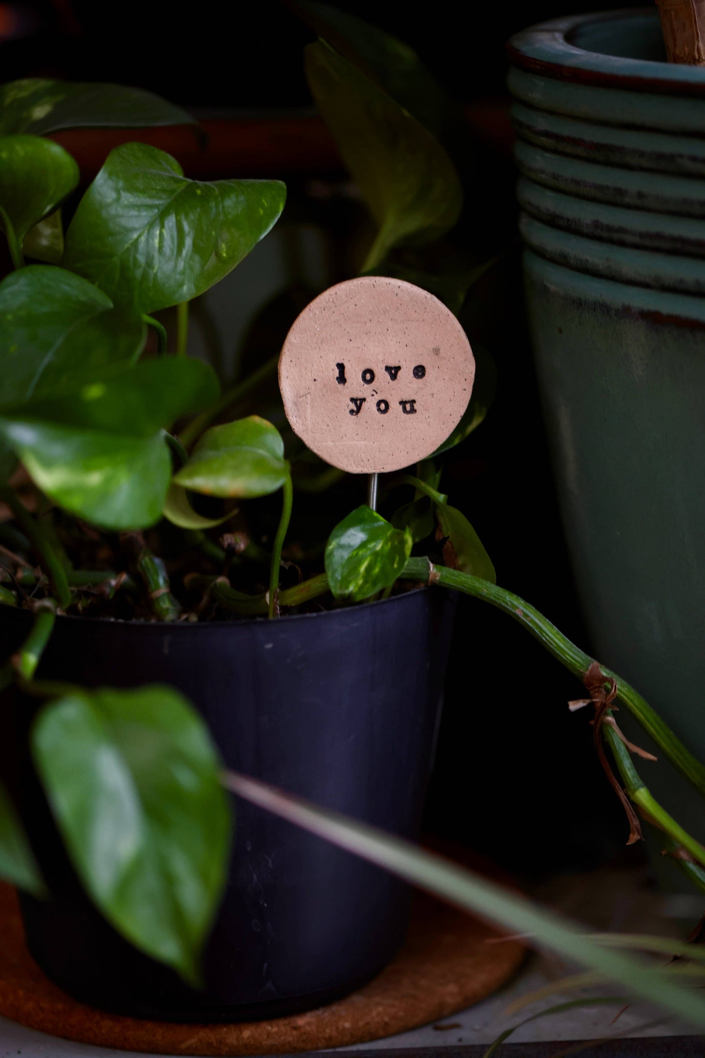 Mud & Maker - Plant Buddies - Text - Garden Love You